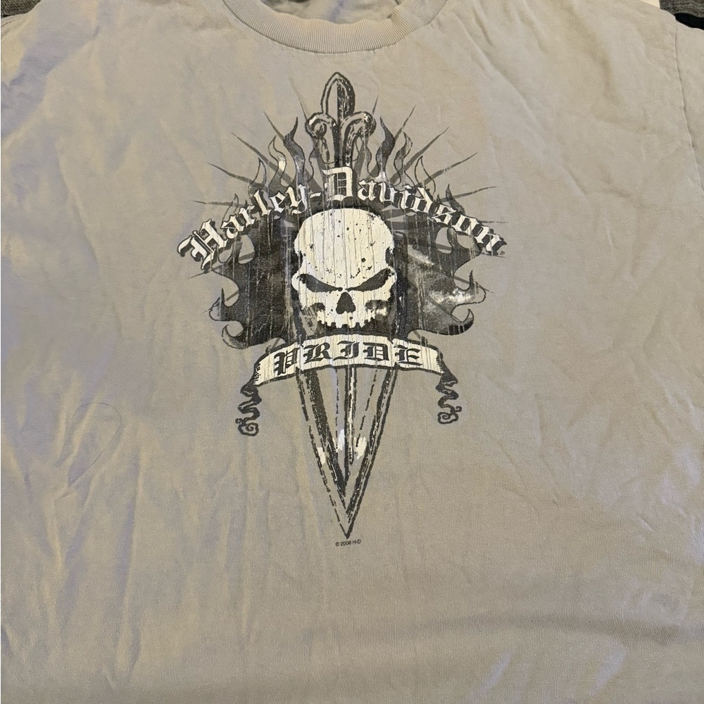 Harley-Davidson Skull‎ Graphic Tee in Gray